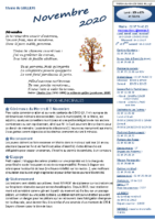 Flash Novembre 2020