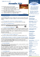 Flash Novembre 2024