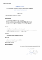 CONVOCATION affichage CM 28-07-25